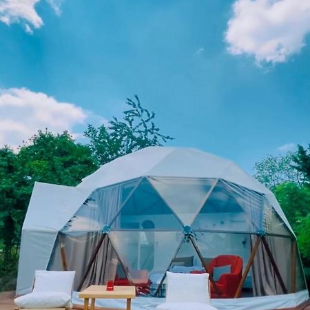 Phalesia Glamping Otel Sapanca Extérieur photo