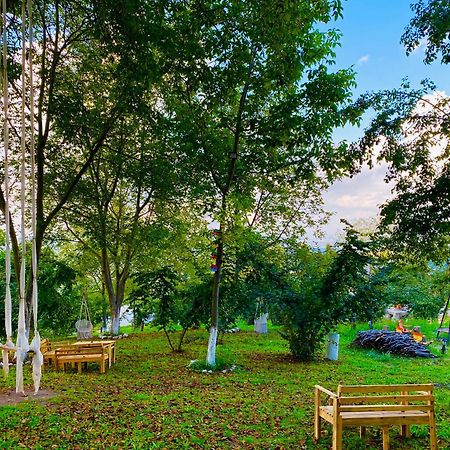 Phalesia Glamping Otel Sapanca Extérieur photo