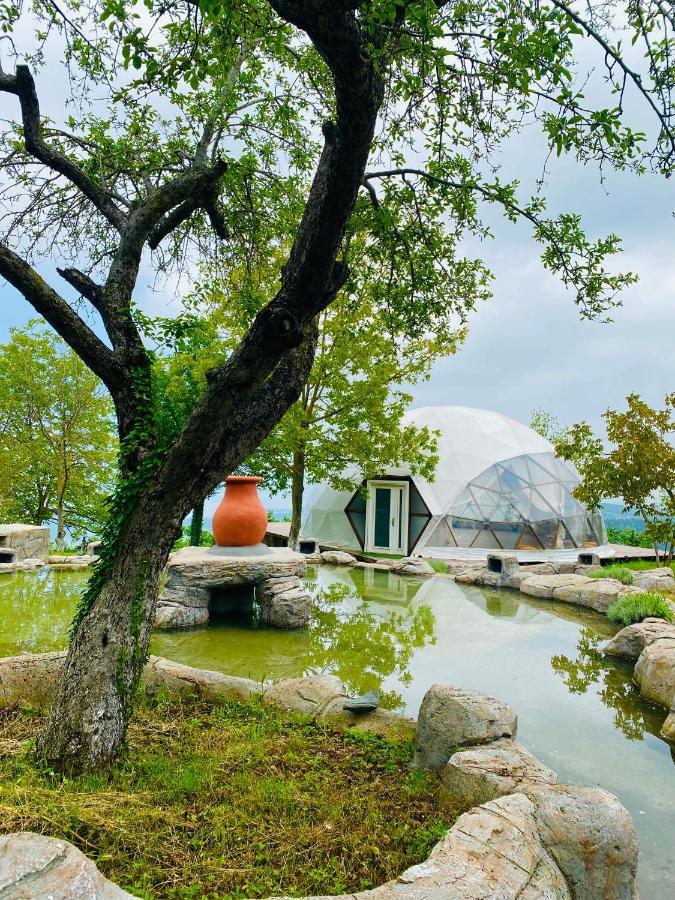 Phalesia Glamping Otel Sapanca Extérieur photo