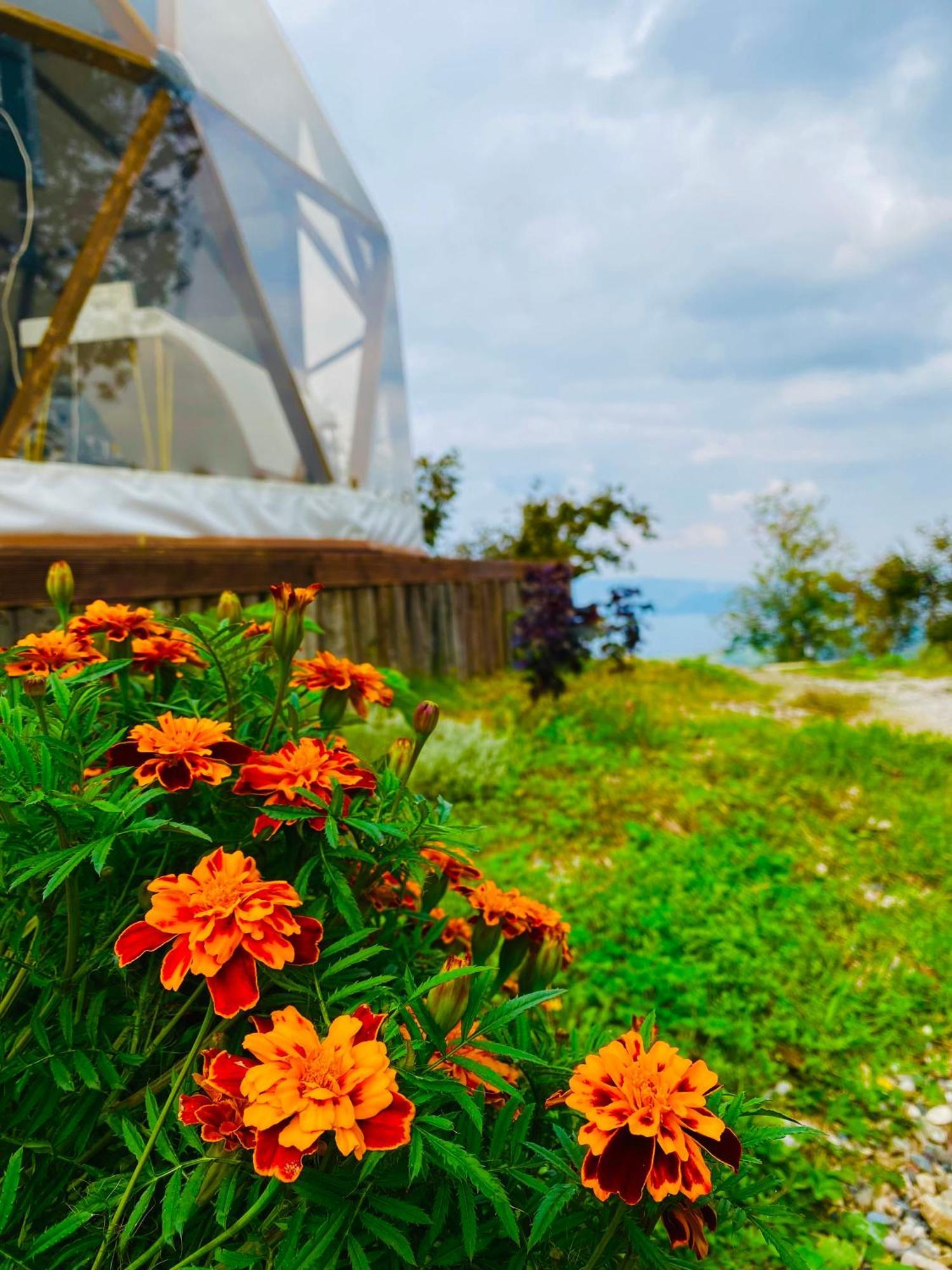Phalesia Glamping Otel Sapanca Extérieur photo